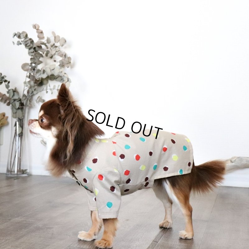 画像4: モダンドットのシャツワンピース（イエローベージュ） (4)