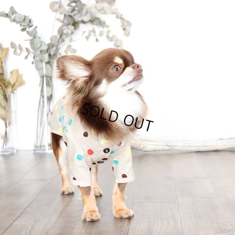 画像3: モダンドットのシャツワンピース（イエローベージュ） (3)