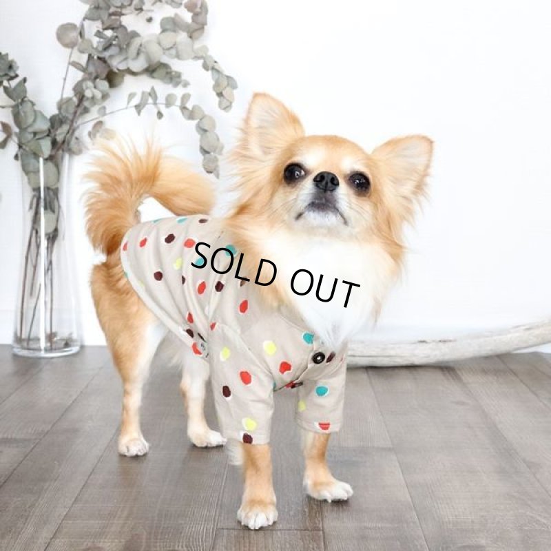 画像6: モダンドットシャツ(イエローベージュ) (6)