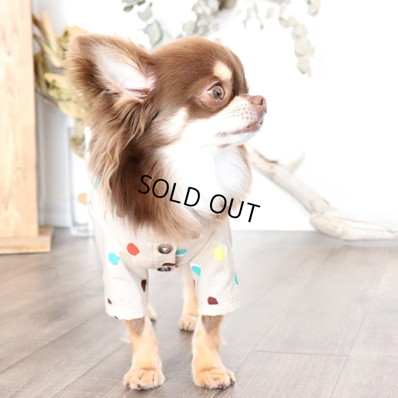 画像8: モダンドットのシャツワンピース（イエローベージュ） (8)