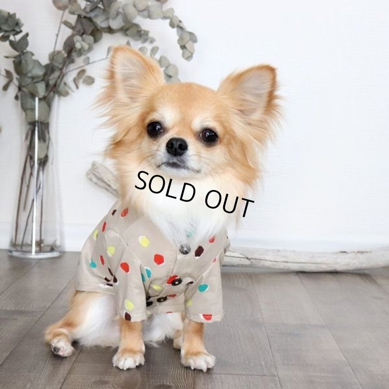 画像8: モダンドットシャツ(イエローベージュ) (8)