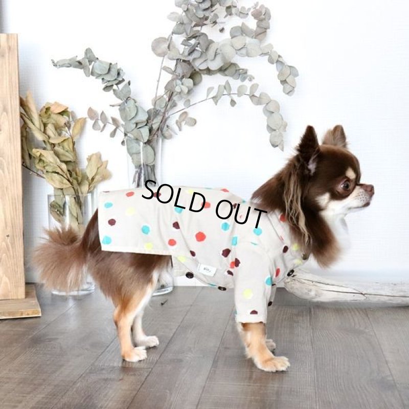 画像7: モダンドットのシャツワンピース（イエローベージュ） (7)