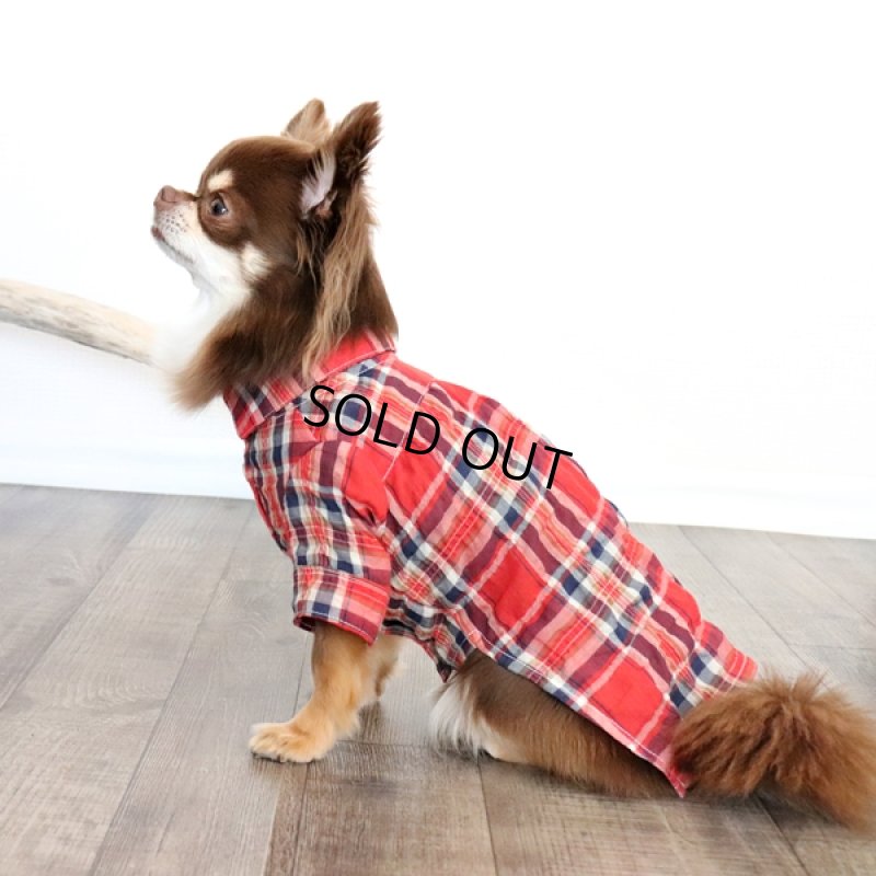 画像6: エアリーチェックのシャツワンピース（レッド） (6)