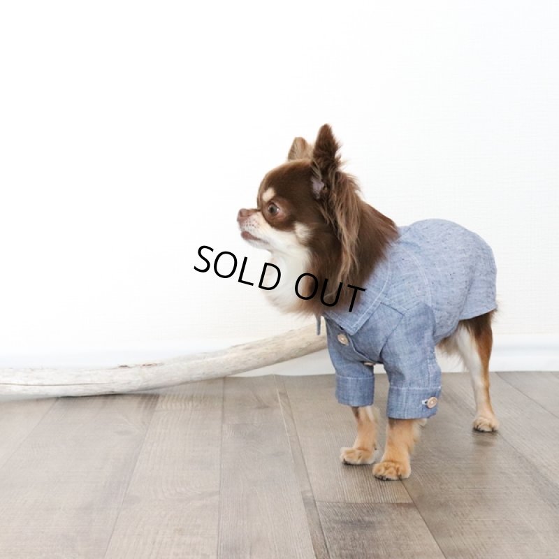 画像6: リネンダンガリーシャツワンピース(ブルー) (6)