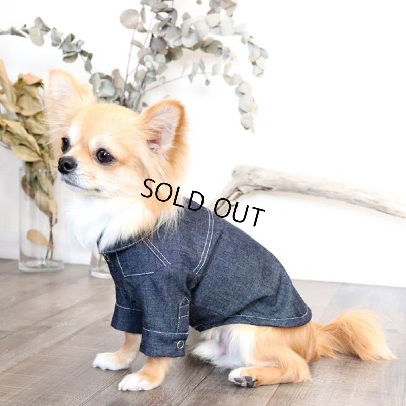 画像7: デニムシャツ（インディゴ） (7)