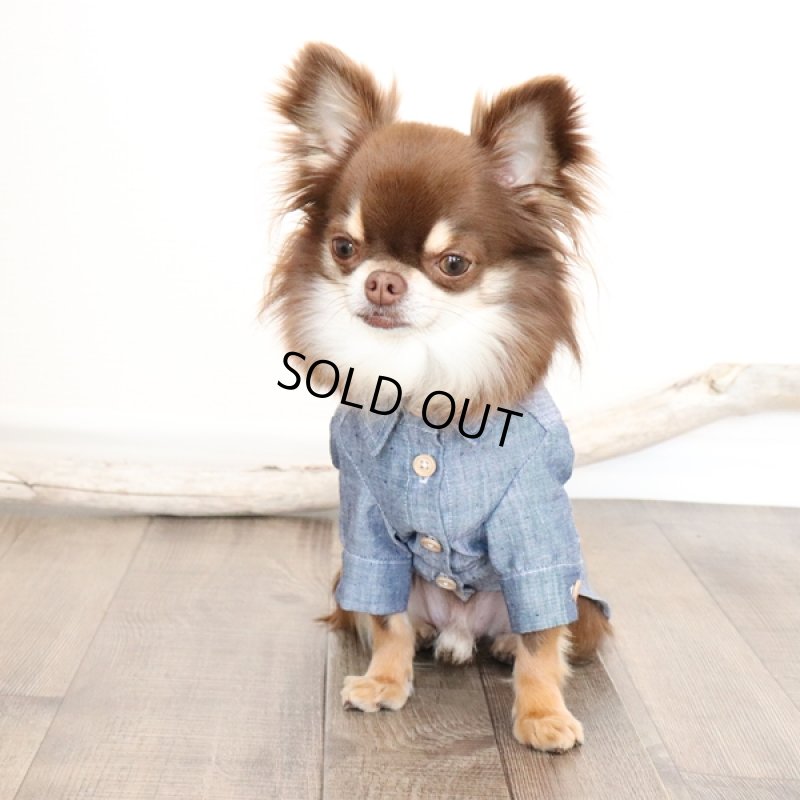 画像7: リネンダンガリーシャツワンピース(ブルー) (7)