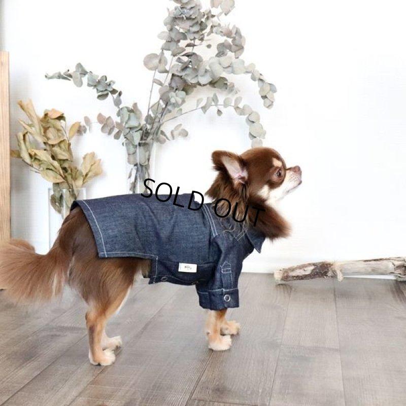 画像3: デニムシャツワンピース（インディゴ） (3)