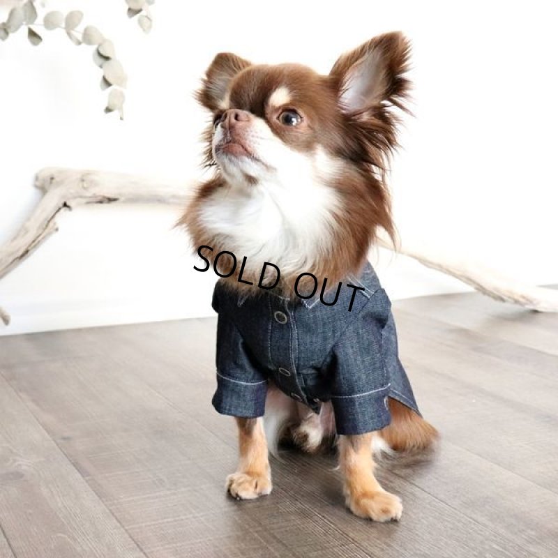 画像6: デニムシャツワンピース（インディゴ） (6)