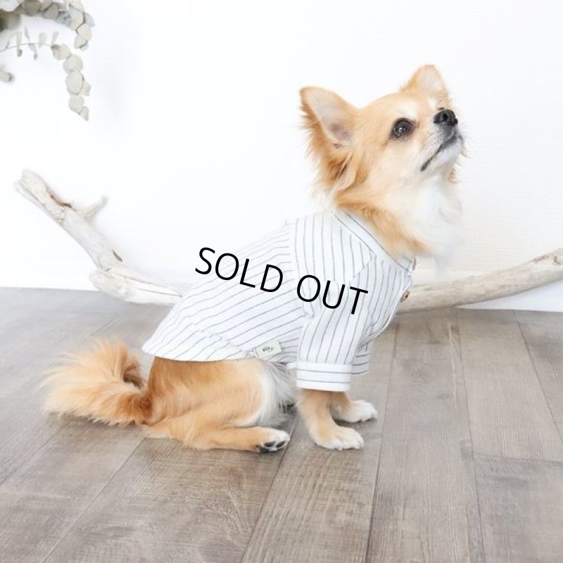 画像8: 綿麻シャンブレーストライプシャツ（ホワイト×ネイビー） (8)