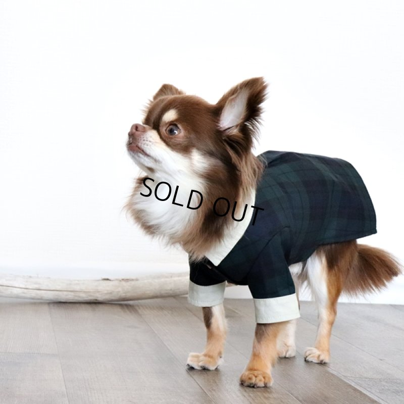 画像8: クレリックシャツワンピース(ブラックウォッチ×ペールオリーブ) (8)