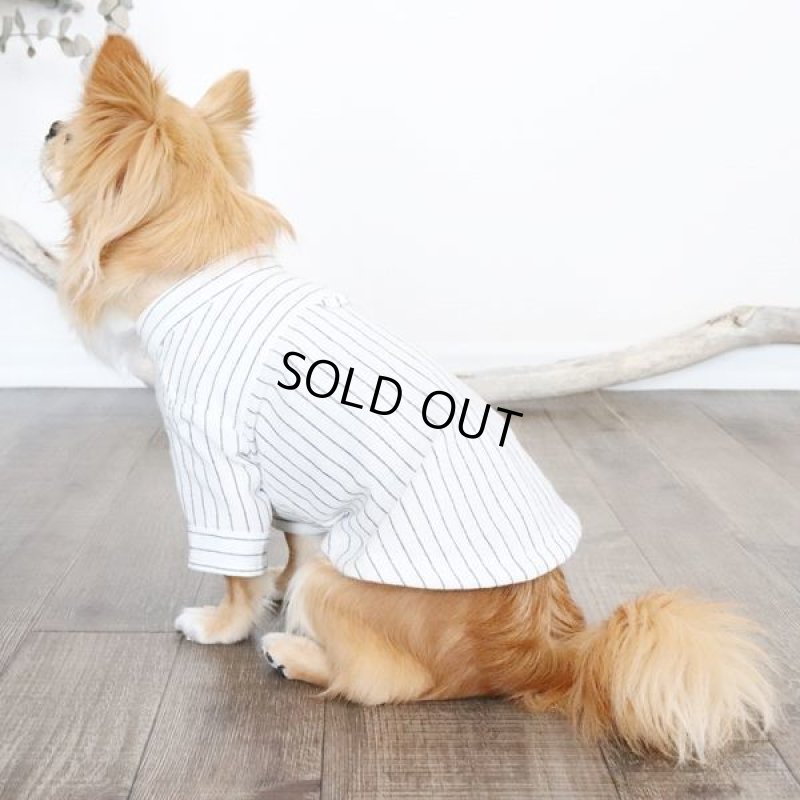 画像9: 綿麻シャンブレーストライプシャツ（ホワイト×ネイビー） (9)