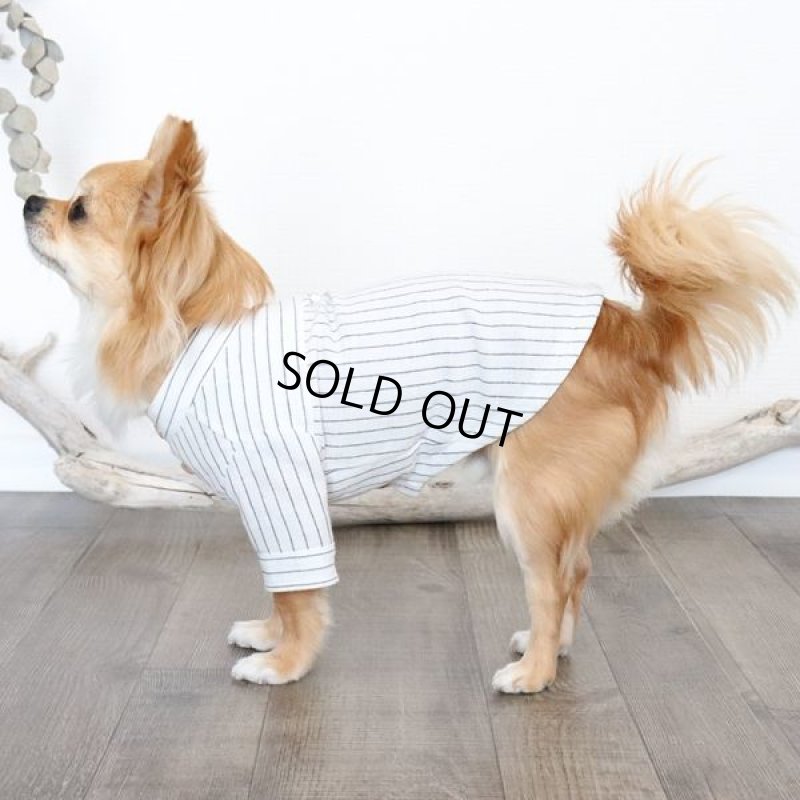 画像5: 綿麻シャンブレーストライプシャツ（ホワイト×ネイビー） (5)