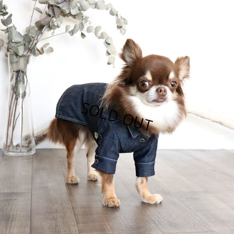 画像8: デニムシャツワンピース（インディゴ） (8)