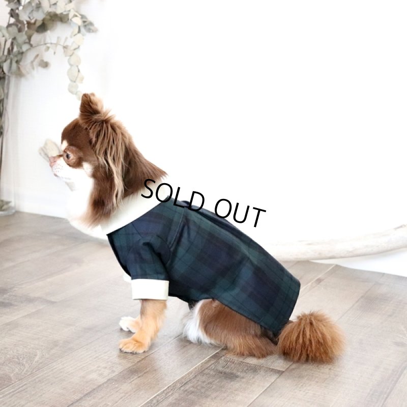 画像5: クレリックシャツワンピース(ブラックウォッチ×ペールオリーブ) (5)