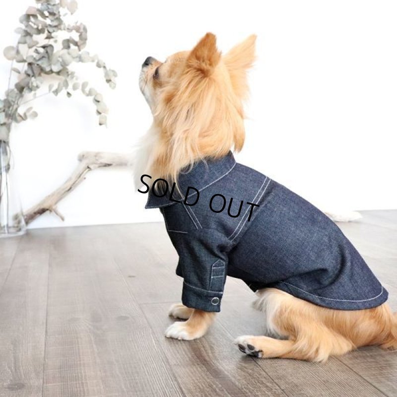 画像6: デニムシャツ（インディゴ） (6)