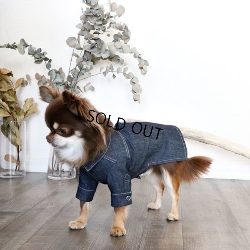 画像7: デニムシャツワンピース（インディゴ） (7)