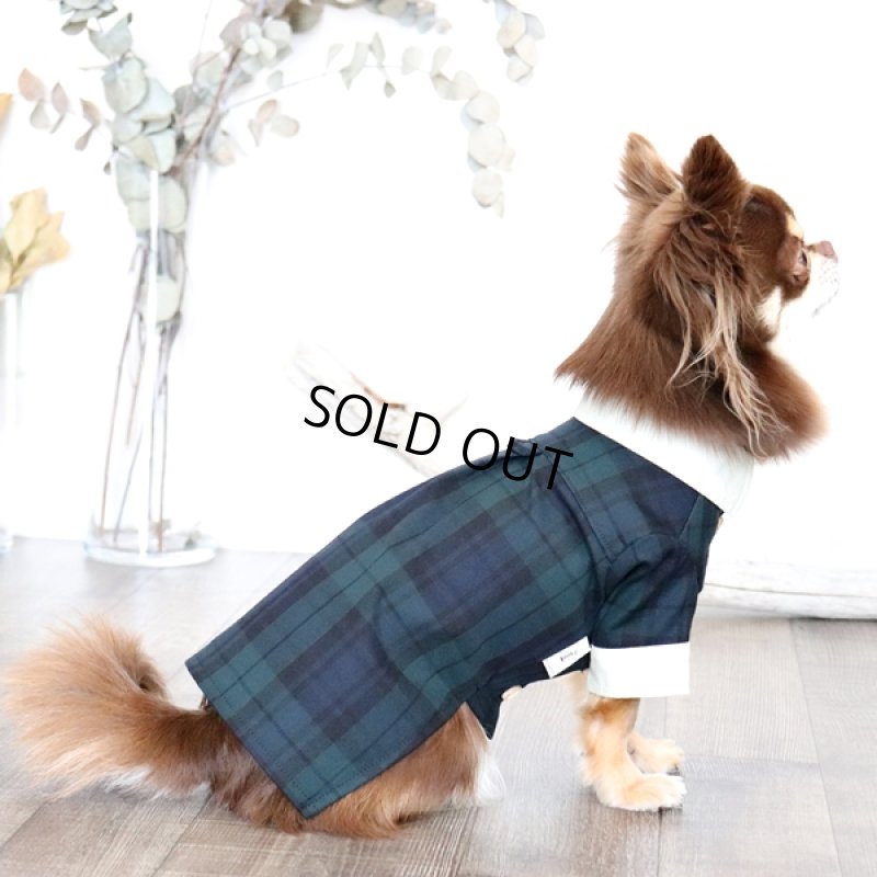 画像3: クレリックシャツワンピース(ブラックウォッチ×ペールオリーブ) (3)