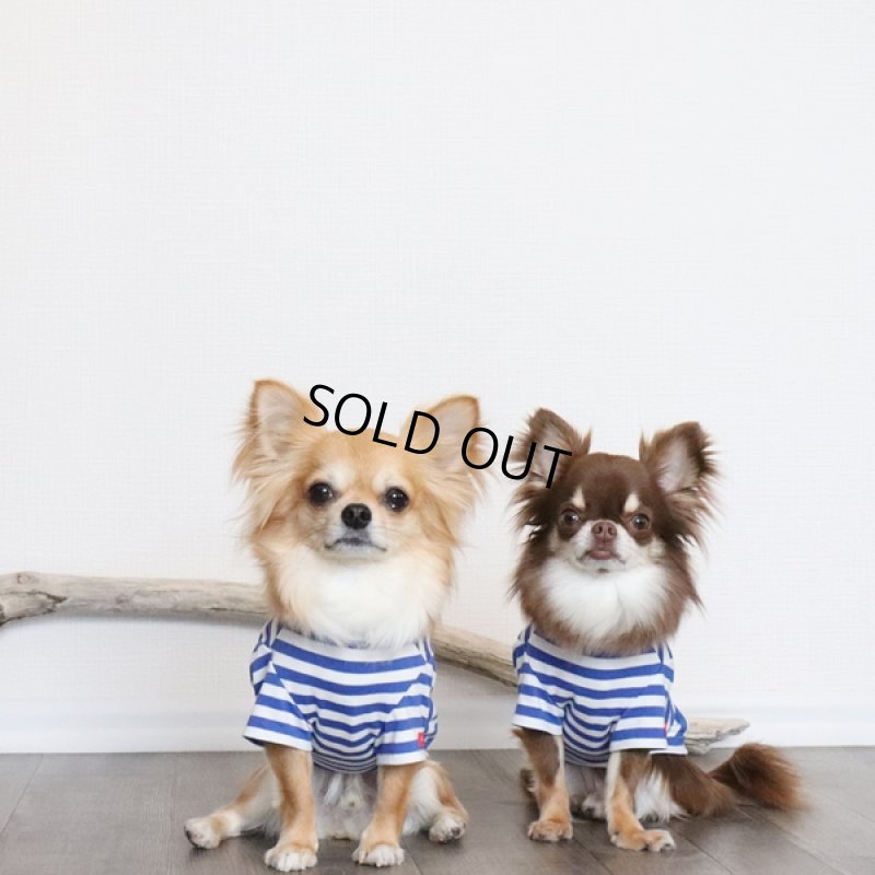 画像13: UVカット生地のボーダーTシャツ（スカイブルー×オフホワイト） (13)