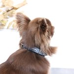 画像6: 【ステッチ_幅1.5cm】お揃いが楽しめるCOLLAR（首輪） 全6色『BLESS LEATHER×キミノフク。』 (6)