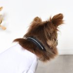 画像1: 【ステッチ_幅1.5cm】お揃いが楽しめるCOLLAR（首輪） 全6色『BLESS LEATHER×キミノフク。』 (1)