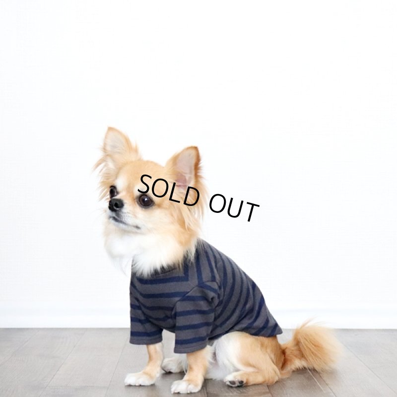 画像6: ボーダーハイネックカットソー(チャコールxネイビー) (6)