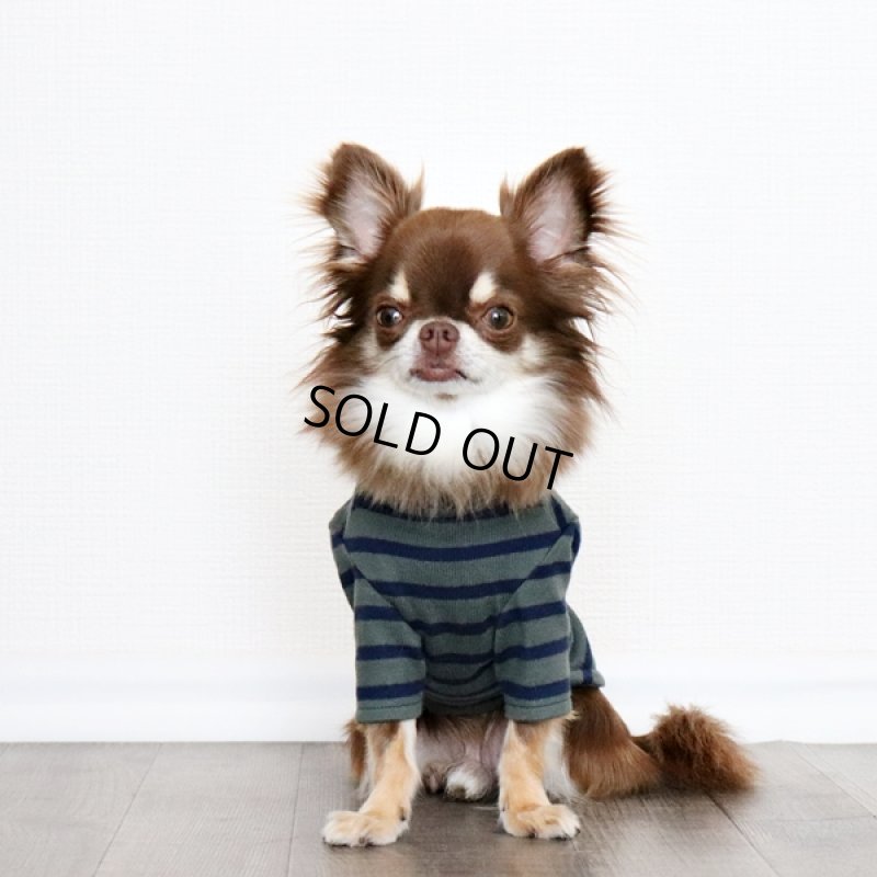 画像5: ボーダーハイネックカットソー(グレイッシュカーキxネイビー) (5)