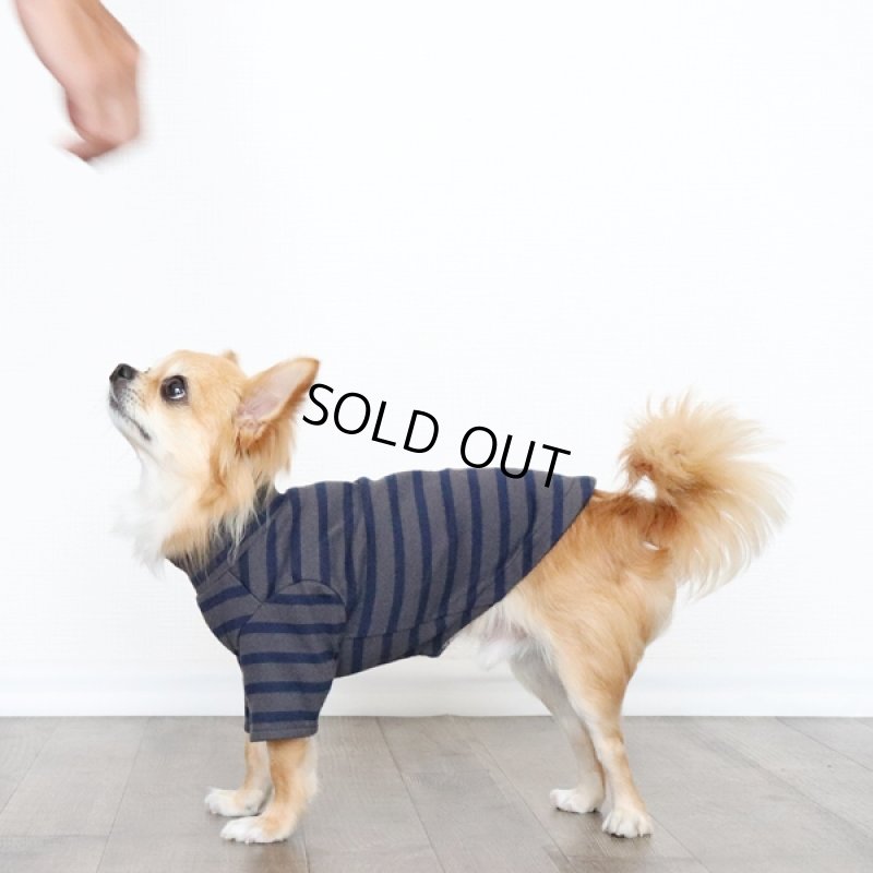 画像5: ボーダーハイネックカットソー(チャコールxネイビー) (5)