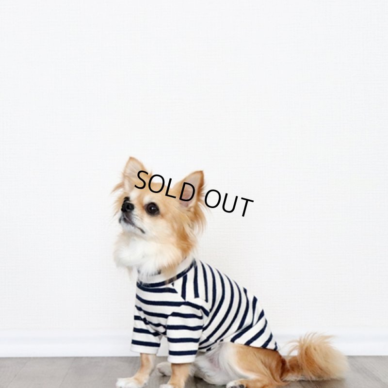 画像6: ボーダーハイネックカットソー（生成り×ネイビー） (6)