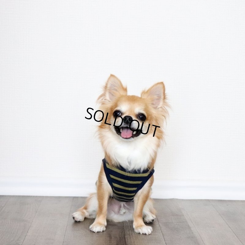 画像3: ボーダータンクトップ（ネイビー×マスタード） (3)