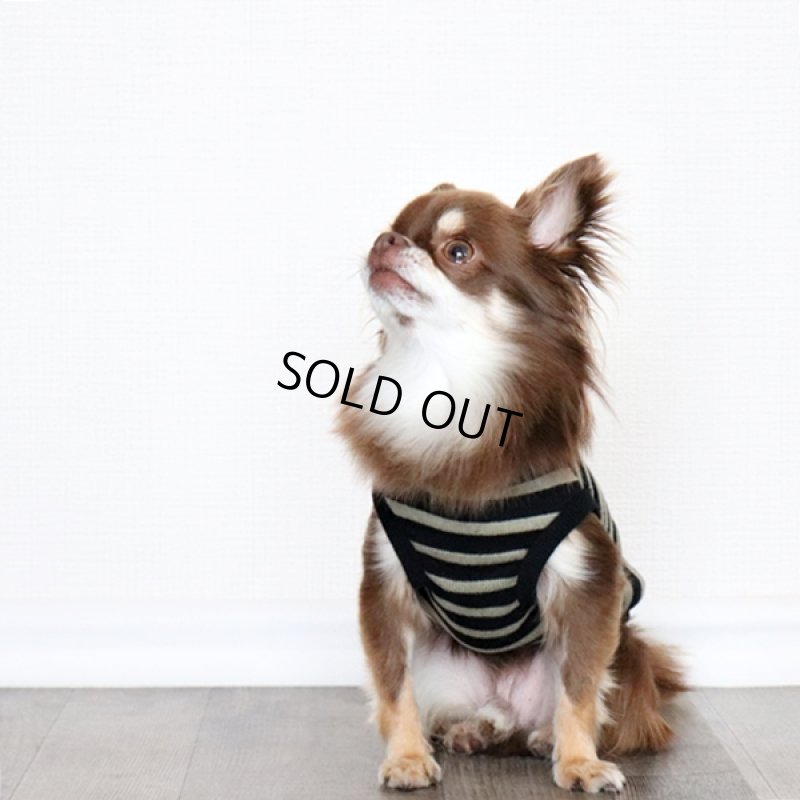 画像2: ボーダータンクトップ(ブラック×ペールモス) (2)