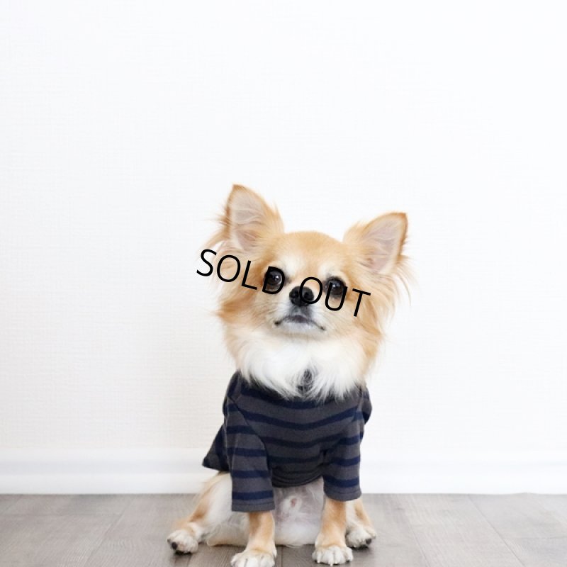 画像2: ボーダーハイネックカットソー(チャコールxネイビー) (2)