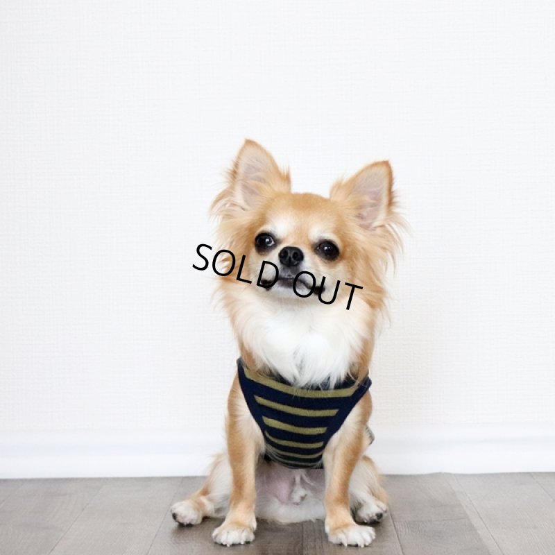 画像2: ボーダータンクトップ（ネイビー×マスタード） (2)