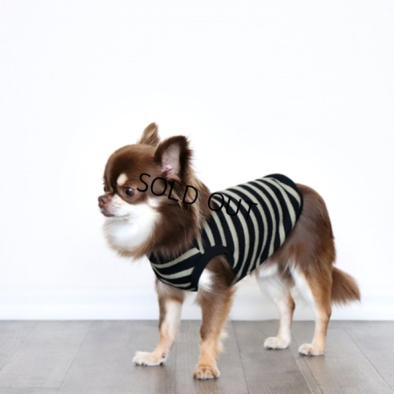 画像6: ボーダータンクトップ(ブラック×ペールモス) (6)