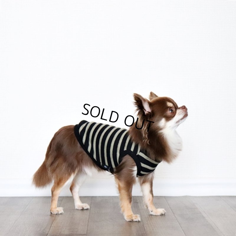 画像8: ボーダータンクトップ(ブラック×ペールモス) (8)