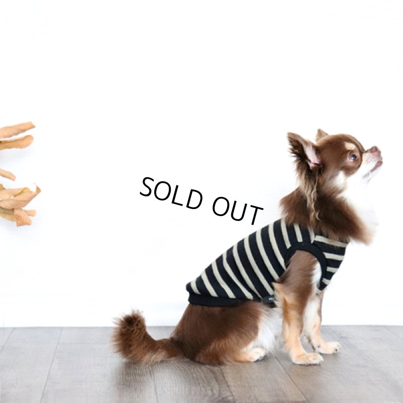 画像7: ボーダータンクトップ(ブラック×ペールモス) (7)