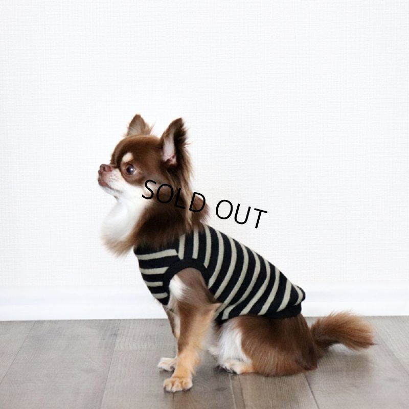 画像5: ボーダータンクトップ(ブラック×ペールモス) (5)