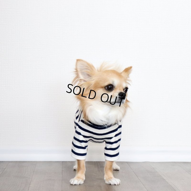 画像3: ボーダーハイネックカットソー（生成り×ネイビー） (3)