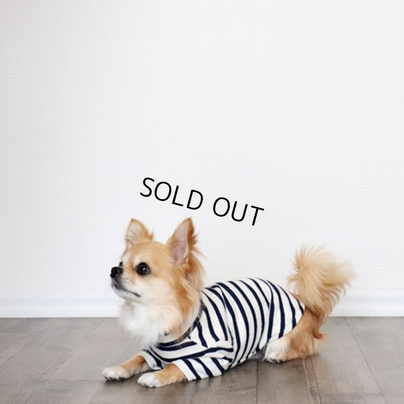 画像7: ボーダーハイネックカットソー（生成り×ネイビー） (7)