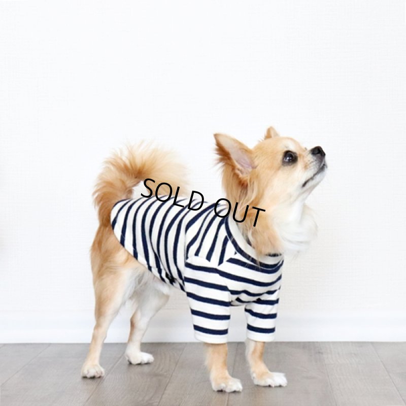 画像4: ボーダーハイネックカットソー（生成り×ネイビー） (4)