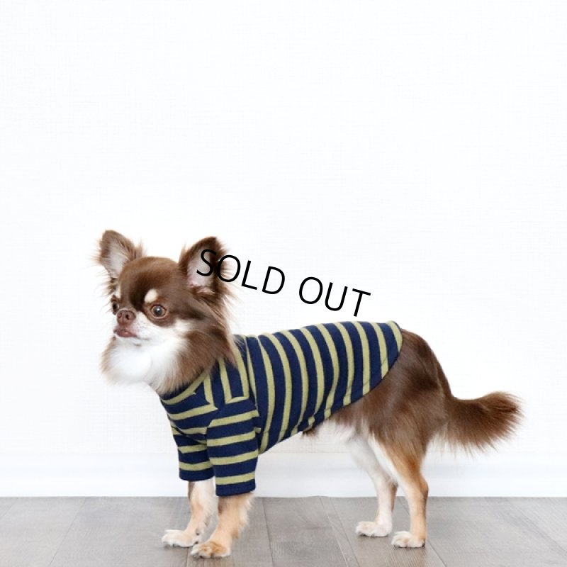 画像4: ボーダーハイネックカットソー（ネイビー×マスタード） (4)