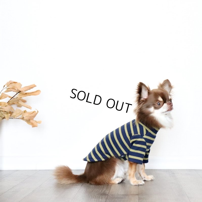 画像8: ボーダーハイネックカットソー（ネイビー×マスタード） (8)