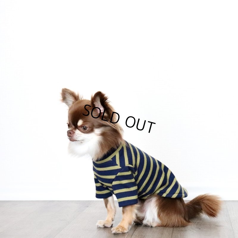 画像6: ボーダーハイネックカットソー（ネイビー×マスタード） (6)