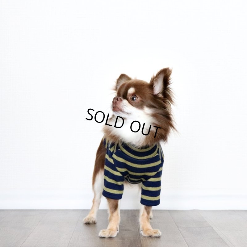 画像3: ボーダーハイネックカットソー（ネイビー×マスタード） (3)