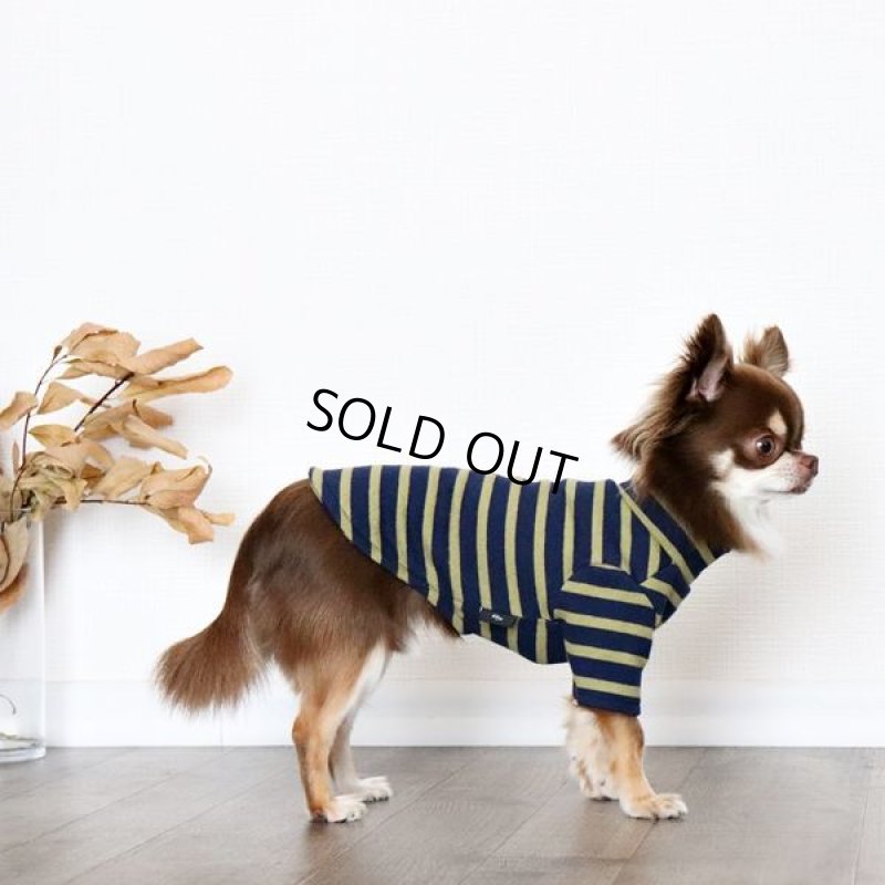 画像7: ボーダーハイネックカットソー（ネイビー×マスタード） (7)