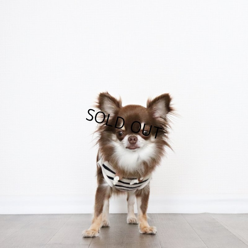 画像5: 【再販売】ボーダーノースリーブパーカー（アイボリー×ダークネイビー） (5)