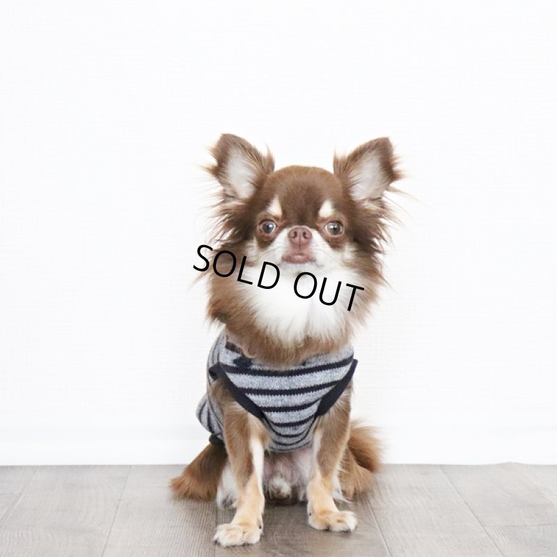 画像6: 【再販売】ボーダーノースリーブパーカー（ブルーグレー×ネイビー） (6)