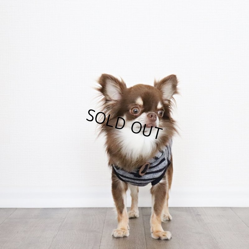 画像8: 【再販売】ボーダーノースリーブパーカー（ブルーグレー×ネイビー） (8)