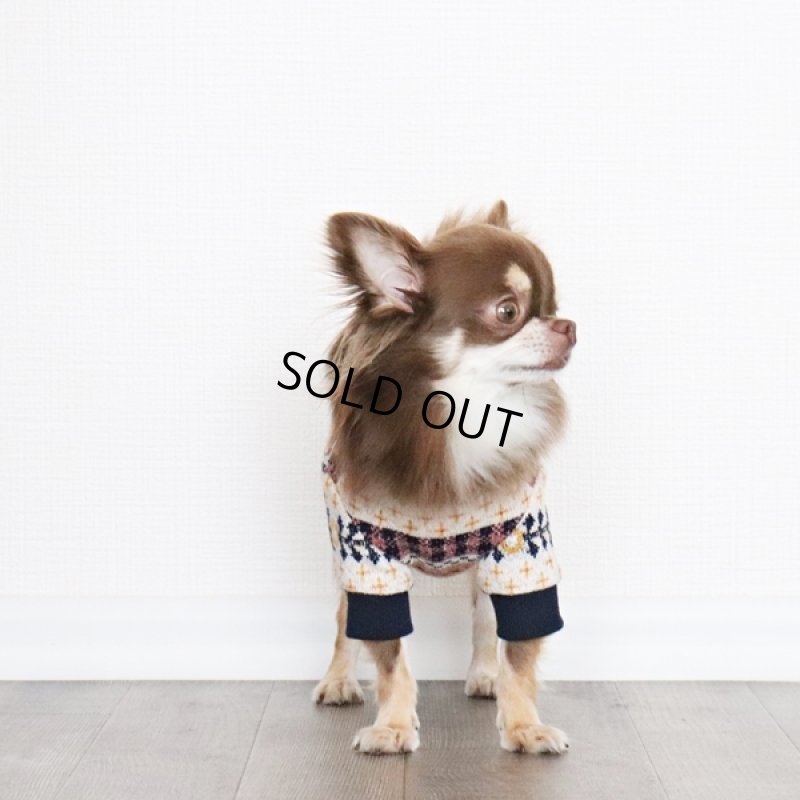 画像3: ネイティブギンガムニット プルオーバー(ポップイエロー) (3)