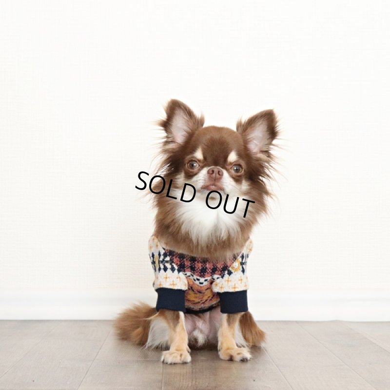 画像4: ネイティブギンガムニット プルオーバー(ポップイエロー) (4)