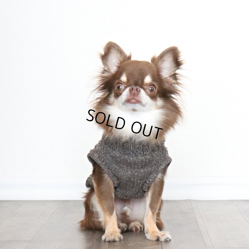 画像6: ジャズネップアランのタートルネック（ビターチョコ） (6)